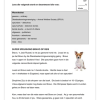 Afrikaans EAT Gr. 6 Assesseringstaak 2021 Kwartaal 1 - Image 3