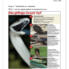 Afrikaans Huistaal Gr. 6 Assesseringstaak 2022 Kwartaal 1 - Image 3