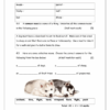 English FAL Gr. 4 Assessment Task 2021 Term 2 - Image 3