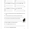English FAL Gr. 4 Assessment Task 2021 Term 4 - Image 3