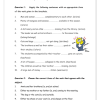 English FAL Gr. 5-6 Revision Exercies - Image 3