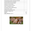 English Home Language Gr. 4 Assessment Task 2021 Term 4 - Image 3