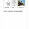 English Home Language Gr. 9 Assessment Task 2022 Term 1 - Image 2