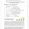 English Senior Workbook One - Image 3