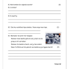 Lewensvaardighede (PSW) Gr. 5 Assesseringstaak 2021 Kwartaal 4 - Image 3