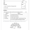 Life Skills (PSW) Gr. 4 Assessment Task 2021 Term 4 - Image 5