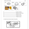 Life Skills (PSW) Gr. 4 Assessment Task 2021 Term 4 - Image 2