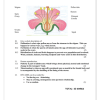 Natural Sciences Gr. 7 Assessment Task 2022 Term 1 - Image 3