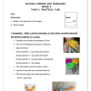 Natural Sciences and Technology Gr. 4 Assessment Task 2021 Term 3 - Image 4