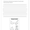 Natural Sciences and Technology Gr. 4 Assessment Task 2022 Term 1 - Image 4