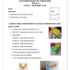 Natuurwetenskap en Tegnologie Gr. 4 Assesseringstaak 2021 Kwartaal 3 - Image 3