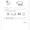 Natuurwetenskap en Tegnologie Gr. 4 Assesseringstaak 2022 Kwartaal 1 - Image 3