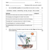 Natuurwetenskap en Tegnologie Gr. 5 Assesseringstaak 2021 Kwartaal 4 - Image 5