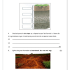 Natuurwetenskap en Tegnologie Gr. 5 Assesseringstaak 2021 Kwartaal 4 - Image 2