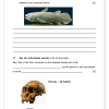 Natuurwetenskap en Tegnologie Gr. 5 Assesseringstaak 2021 Kwartaal 4 - Image 4