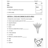 Social Sciences Gr. 4 Assessment Task 2021 Term 4 - Image 3