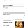 Social Sciences Gr. 5 Assessment Task 2021 Term 2 - Image 2