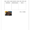Social Sciences Gr. 6 Assessment Task 2021 Term 2 - Image 2