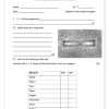 Technology Gr. 7 Assessment Task 2021 Term 4 - Image 5