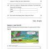 English FAL Gr. 5 Assessment Task 2022 Term 2 - Image 5