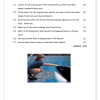 English FAL Gr. 7 Assessment Task 2022 Term 2 - Image 4