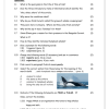 English FAL Gr. 7 Assessment Task 2022 Term 2 - Image 3