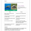 English Home Language Gr. 4 Assessment Task 2022 Term 2 - Image 4