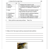 Natural Sciences and Technology Gr. 6 Assessment Task 2022 Term 2 - Image 3