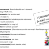 Afrikaans Senior PowerPoint-aanbieding Woordsoorte - Image 4