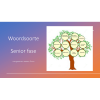 Afrikaans Senior PowerPoint-aanbieding Woordsoorte