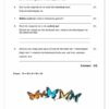 Afrikaans Huistaal Gr. 5 Assesseringstaak 2022 Kwartaal 4 - Image 2