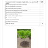 English FAL Gr. 4 Assessment Task 2022 Term 4 - Image 5