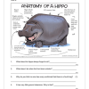 English FAL Gr. 6 Assessment Task 2022 Term 4 - Image 5