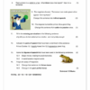 English Home Language Gr. 7 Assessment Task 2022 Term 4 - Image 5