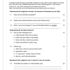 Afrikaans Huistaal Gr. 6 Assesseringstaak 2023 Kwartaal 1 - Image 2
