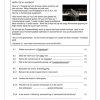 Afrikaans Huistaal Gr. 6 Basislynassessering 2023 Kwartaal 1 - Image 5