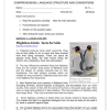 English FAL Gr. 6 Assessment Task 2023 Term 1 - Image 4
