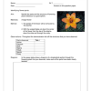 Natural Sciences Gr. 7 Assessment Task 2023 Term 1 - Image 3