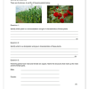 Natural Sciences Gr. 7 Assessment Task 2023 Term 1 - Image 4