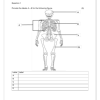 Natural Sciences and Technology Gr. 5 Assessment Task 2023 Term 1 - Image 4