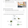Natural Sciences and Technology Gr. 6 Assessment Task 2023 Term 1 - Image 4