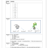 Natural Sciences and Technology Gr. 6 Assessment Task 2023 Term 1 - Image 2