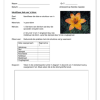 Natuurwetenskap Gr. 7 Assesseringstaak 2023 Kwartaal 1 - Image 3