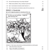 Afrikaans EAT Gr. 8 Assesseringstaak 2023 Kwartaal 2 - Image 3