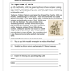 Social Sciences History Gr. 5 Assessment Task 2023/2024 Term 2 - Image 5