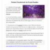 English FAL Gr. 4 Comp Workbook - Image 5