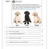 English Home Language Gr. 4 Comp Workbook - Image 4