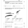 Mathematics Gr. 5 Assessment Task 2023 Term 3 - Image 3