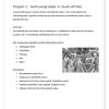 Lewensvaardighede (PSW) Gr. 4 Assesseringstaak 2023 Kwartaal 3 - Image 5