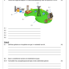 Natuurwetenskap en Tegnologie Gr. 6 Assesseringstaak 2023 Kwartaal 3 - Image 3